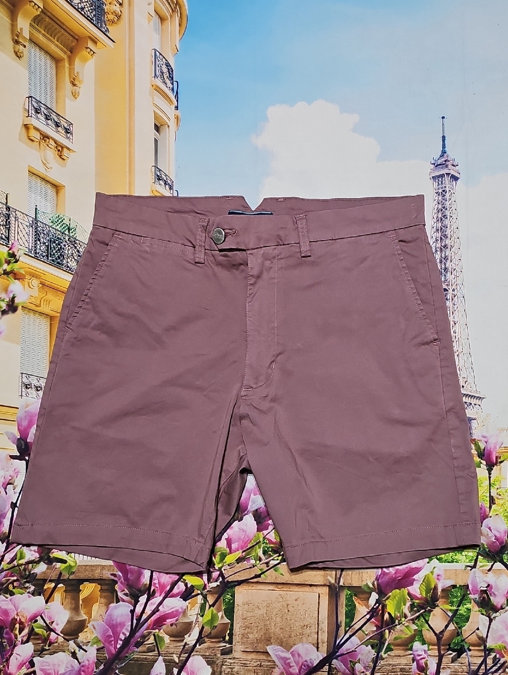 Shore Casual Chino Shorts in Mauve Size 31 New